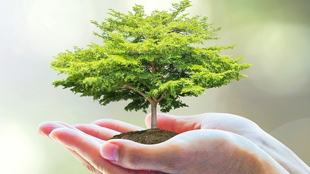 UBND xã Kiến Hải (TP. Hải Phòng) xử phạt 2 trường hợp do không phân loại rác tại nguồn