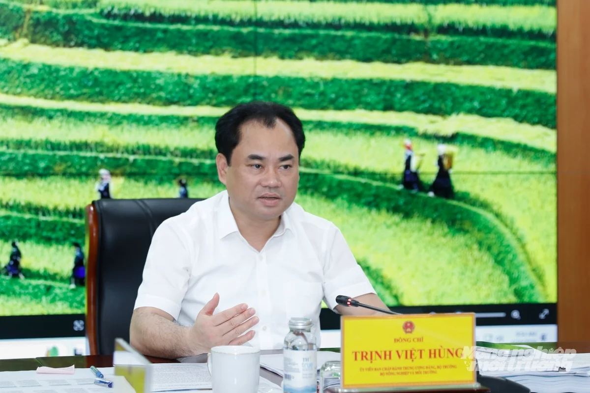 Bộ trưởng Trịnh Việt Hùng chỉ đạo đẩy nhanh sửa đổi 3 luật lớn về đất đai, môi trường, biển đảo