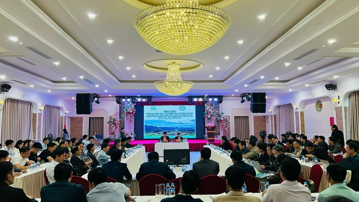 Đưa tín chỉ các-bon rừng Việt Nam ra thị trường thế giới