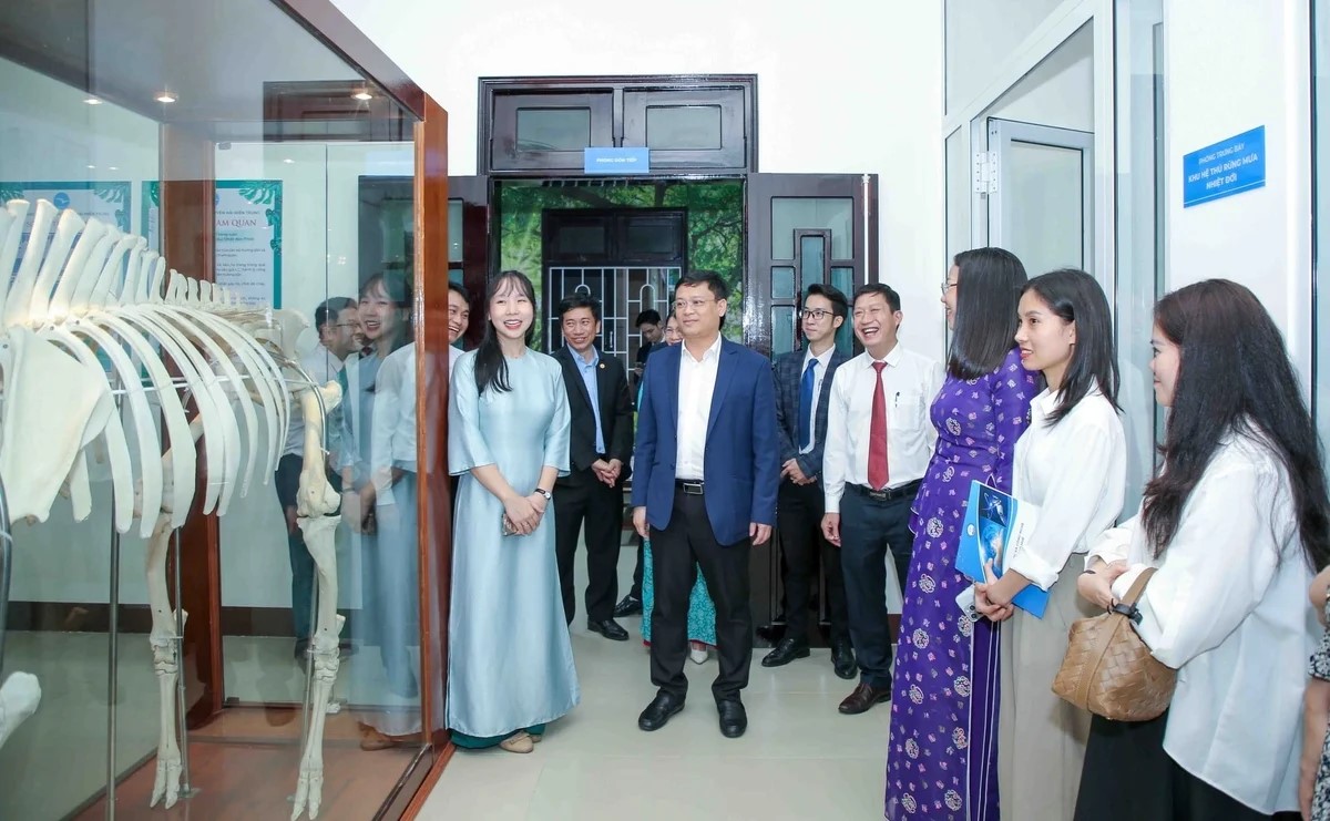 Vũ điệu cánh chim vùng đầm phá