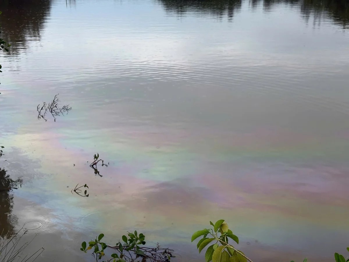 Lo ô nhiễm do dầu DO tràn ruộng, sông ngòi