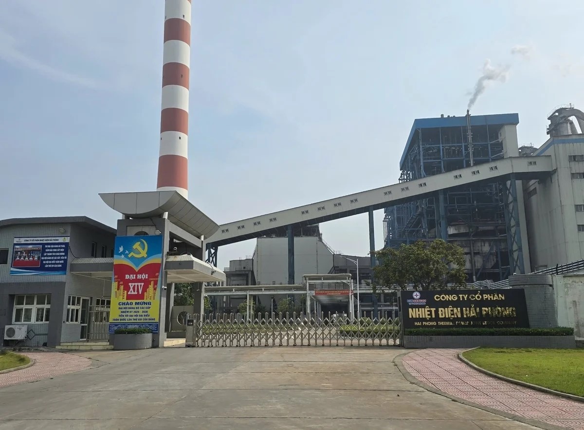 Mạnh tay với vi phạm pháp luật về môi trường