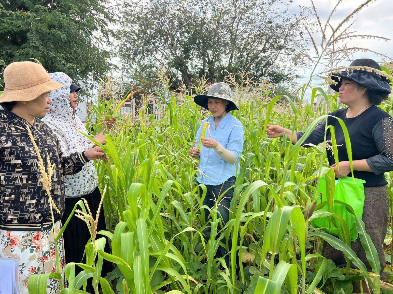 Đưa bản tin khí hậu đến vùng sâu, vùng xa