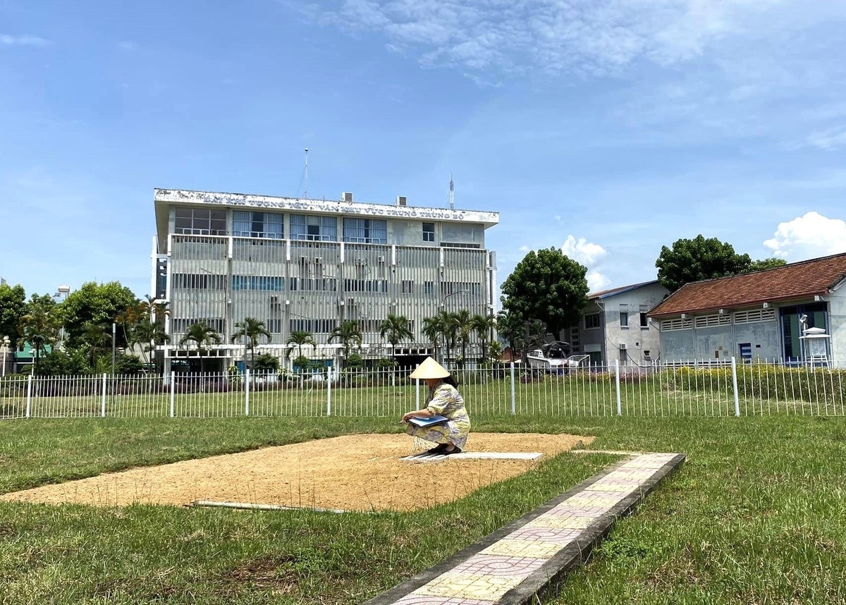 Khi dự báo thời tiết đồng hành