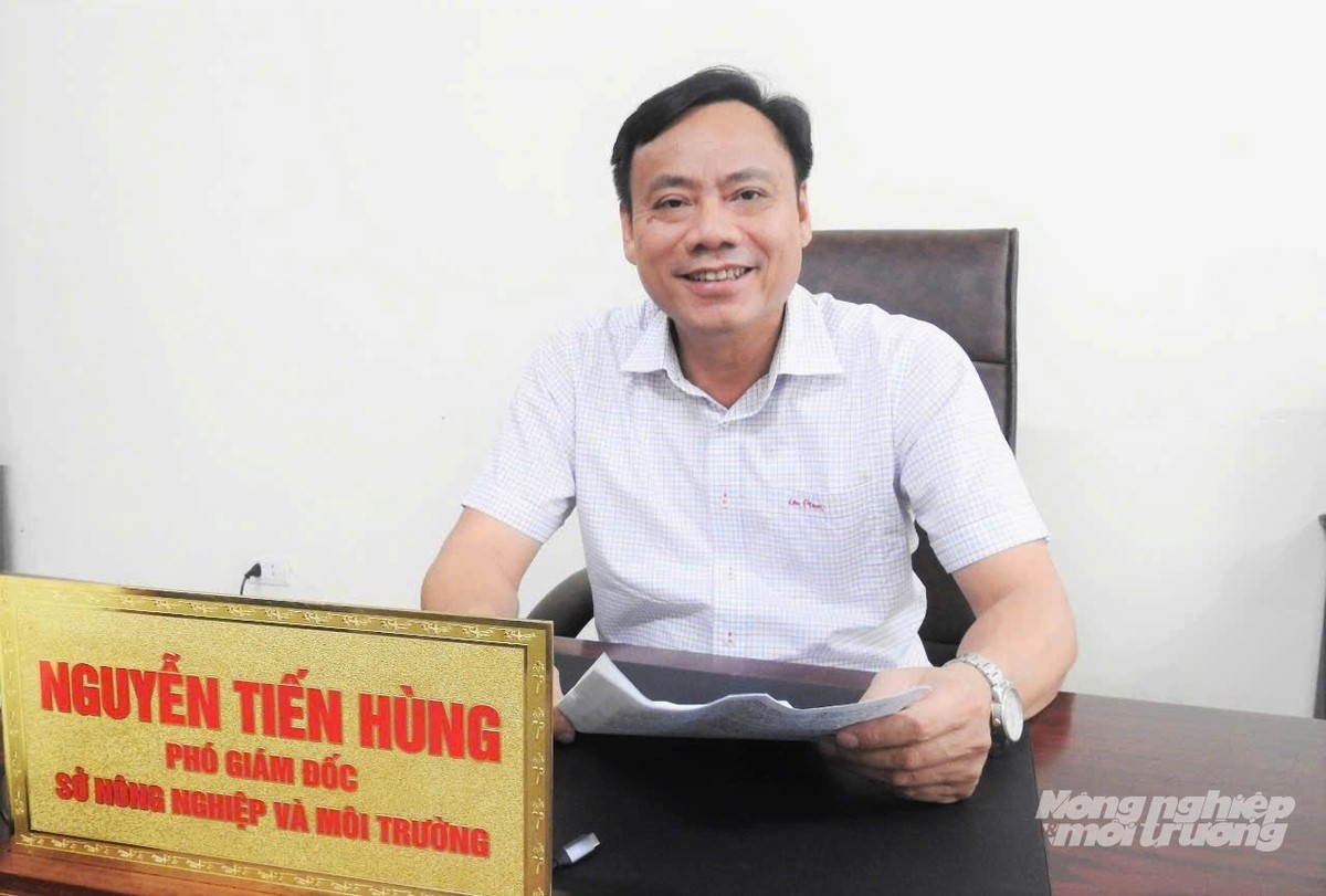Bức tranh môi trường Hà Tĩnh có nhiều điểm sáng