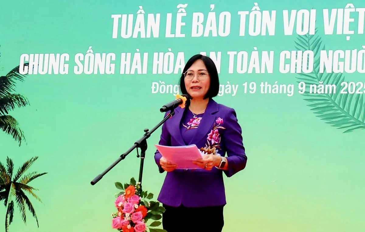 Khai mạc Tuần lễ Bảo tồn voi năm 2025