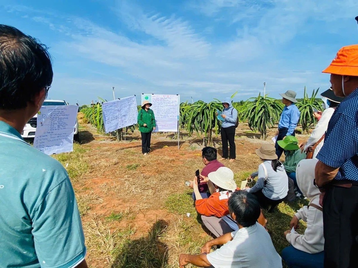 Hướng đến dịch vụ khí hậu phổ biến cho nông dân