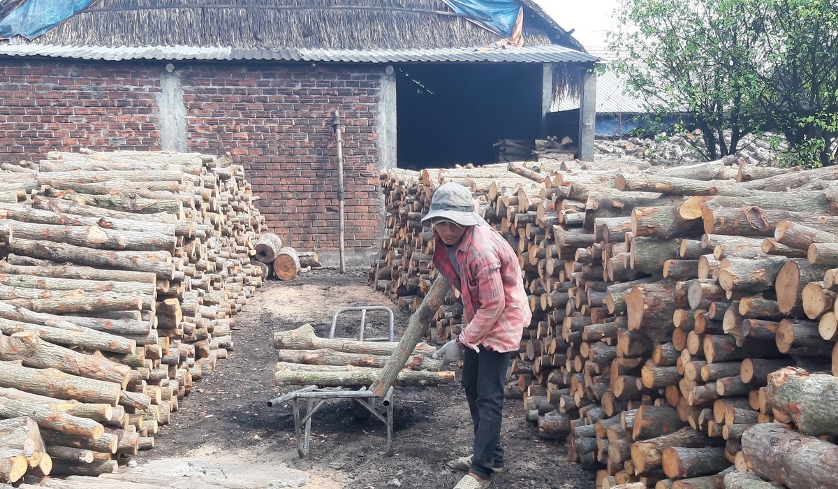 Hậu Giang kiểm soát chặt sản xuất than củi bảo vệ môi trường