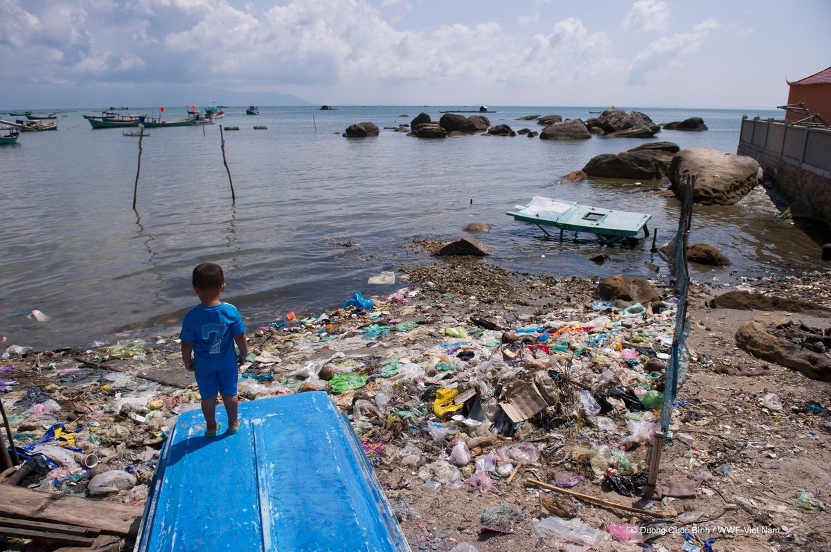 WWF-Việt Nam: Đưa nhựa vào vòng đời khép kín
