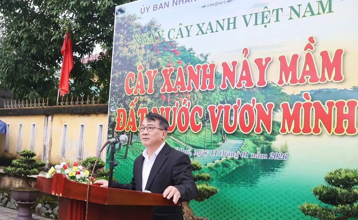 Huế ra quân số hóa cây xanh đô thị