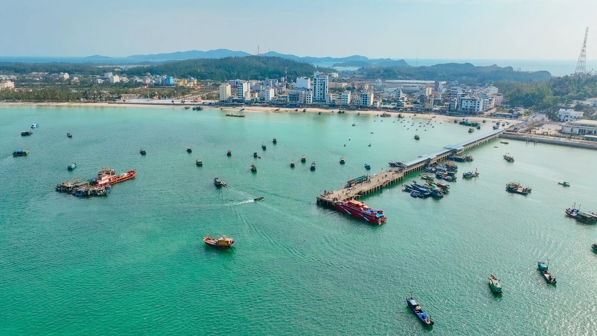 Khu bảo tồn biển Cô Tô - Đảo Trần: Giữ biển để phát triển lâu dài