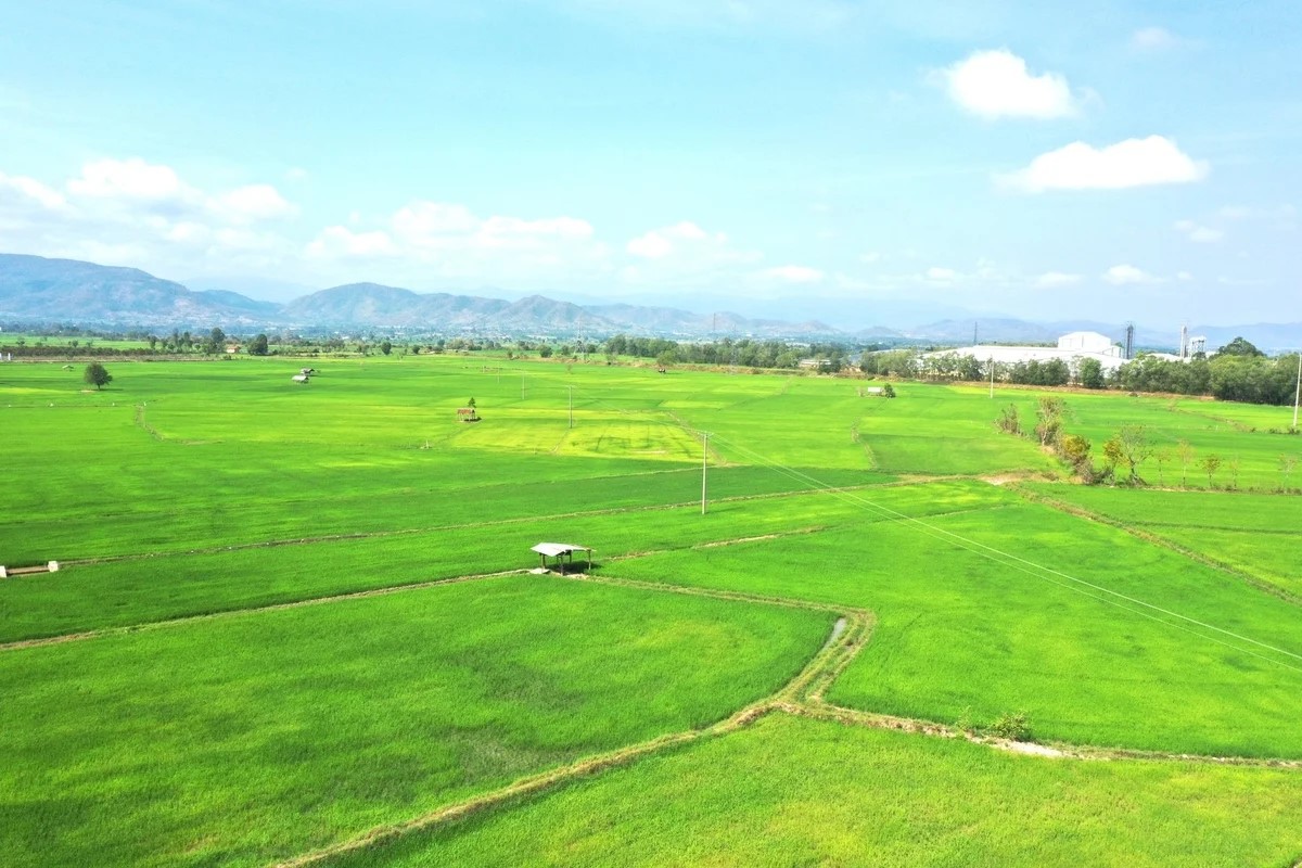 Xây dựng hệ sinh thái nông nghiệp thông minh trong bối cảnh của Việt Nam