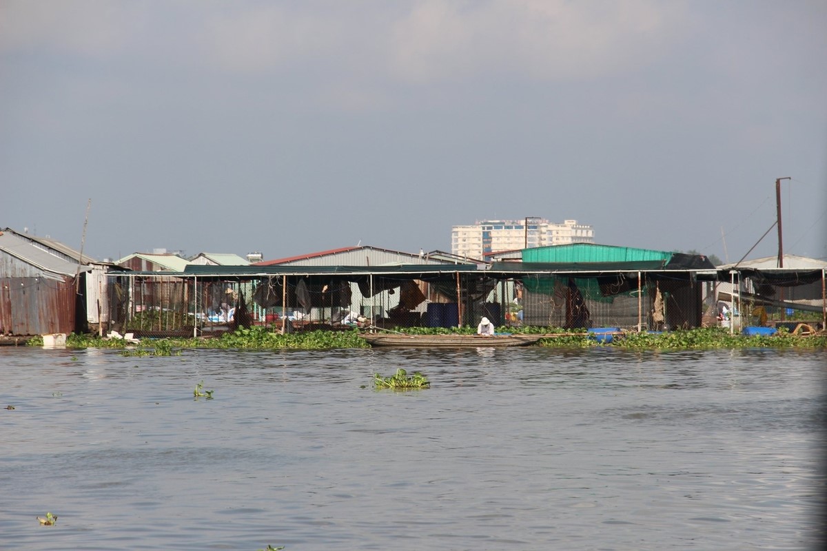 Vĩnh Long chủ động phòng ngừa thiên tai thời điểm giao mùa
