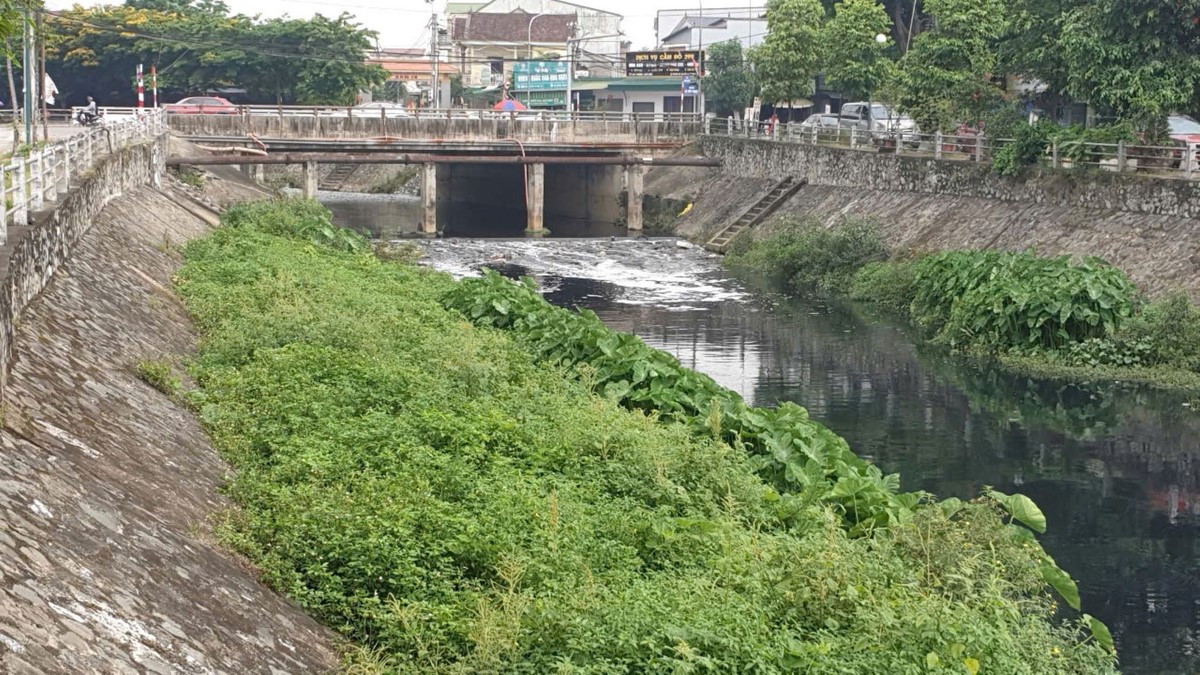 Vệ sinh, nạo vét kênh Bắc và hào thành cổ Vinh