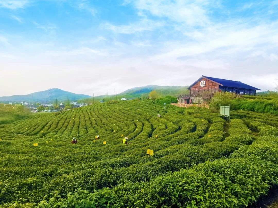 Trung Quốc đẩy mạnh bảo vệ môi trường sinh thái qua mô hình EOD