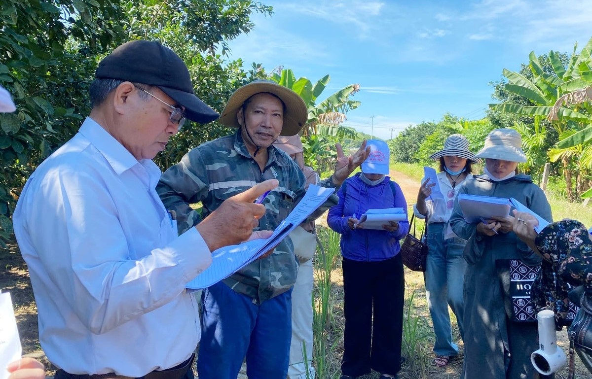 Tập huấn về giải pháp dựa trên thiên nhiên