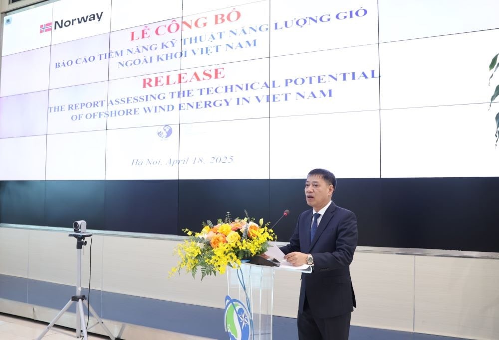 Việt Nam sở hữu 'kho' điện gió ngoài khơi lên tới 1068 GW