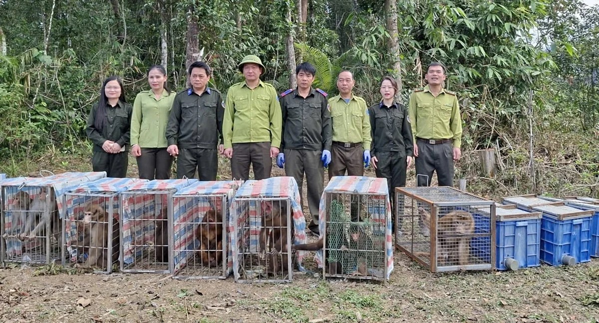 Tái thả 18 cá thể động vật hoang dã về rừng