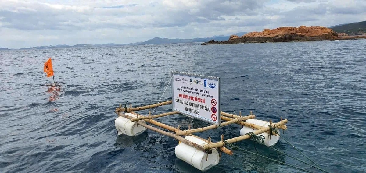 Hành trình đồng quản lý bảo tồn biển:[Bài 4] Chung tay bảo vệ vịnh Quy Nhơn