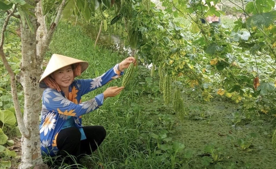 Phụ nữ Cần Thơ lan tỏa thông tin xanh vì môi trường sạch