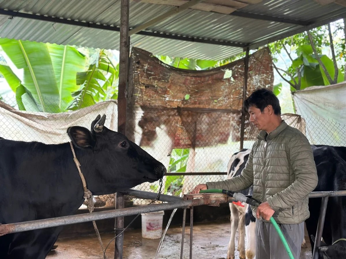 Căn cứ để thu hút dòng vốn xanh