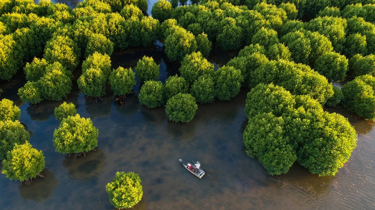 Chuyển đổi số trong bảo tồn thiên nhiên, đa dạng sinh học vì phát triển xanh