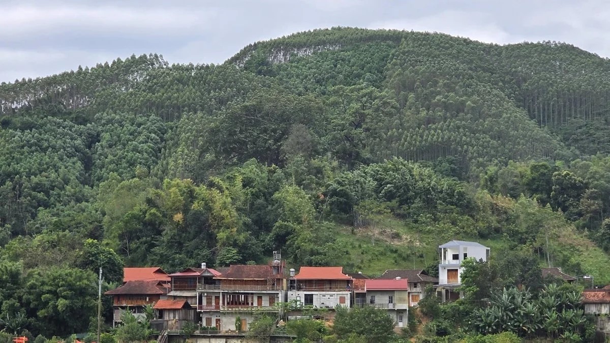 Gieo mầm xanh cho môi trường bền vững