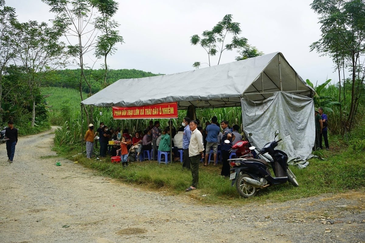 Không nuôi mới, khẩn trương khắc phục ô nhiễm ở trang trại lợn