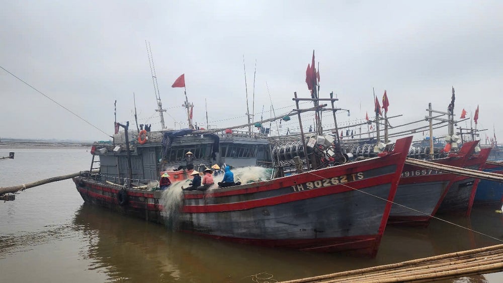 Hoạt động kiểm soát ô nhiễm môi trường biển và hải đảo ở mức tốt