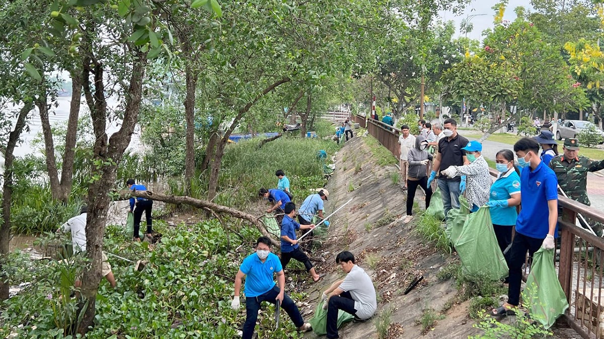 Thanh niên Bến Tre sẽ trồng mới ít nhất 150 nghìn cây xanh