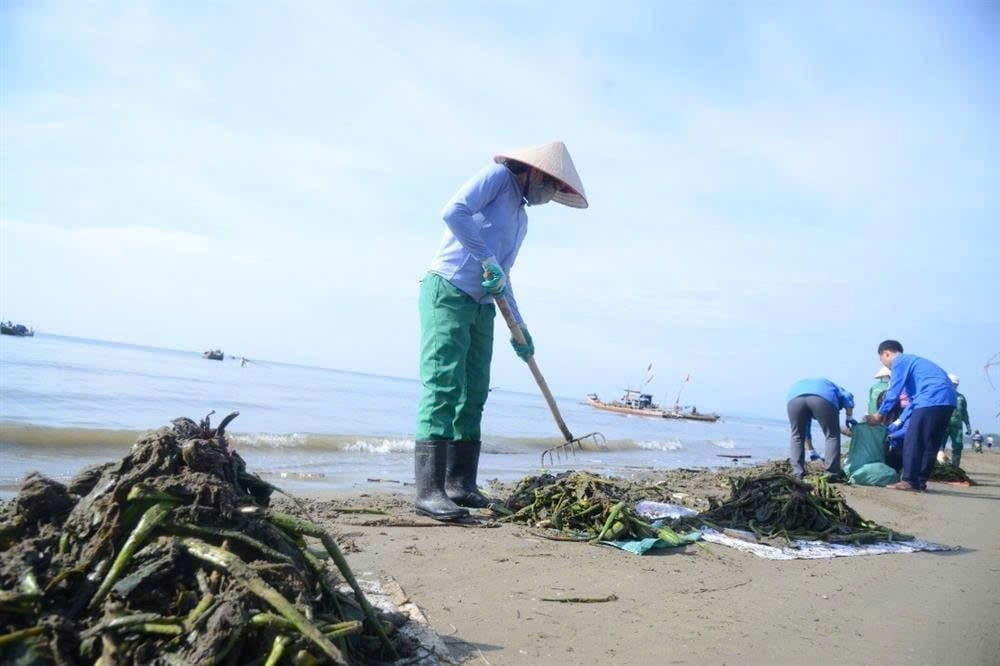 Thanh Hóa tập trung xử lý rác thải và nước thải tại các khu du lịch