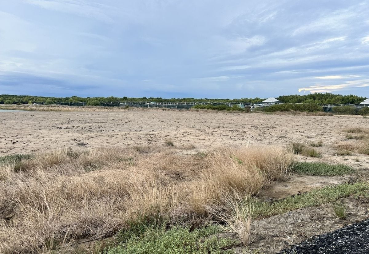 TP.HCM lên phương án chống hạn hán, xâm nhập mặn mùa khô