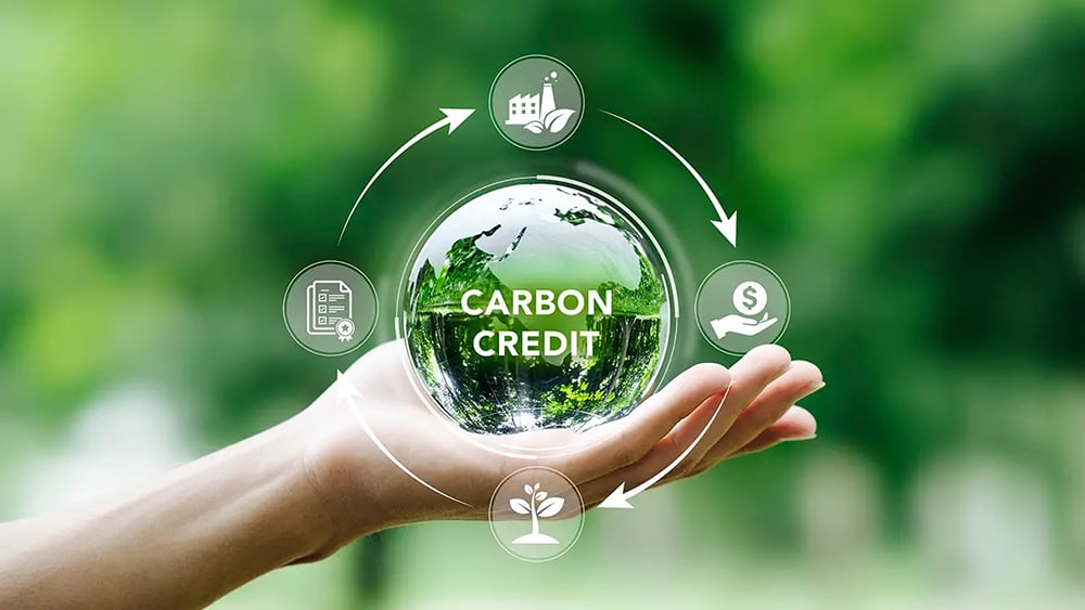 Nghiên cứu mô hình vận hành sàn giao dịch tín chỉ carbon tại Việt Nam