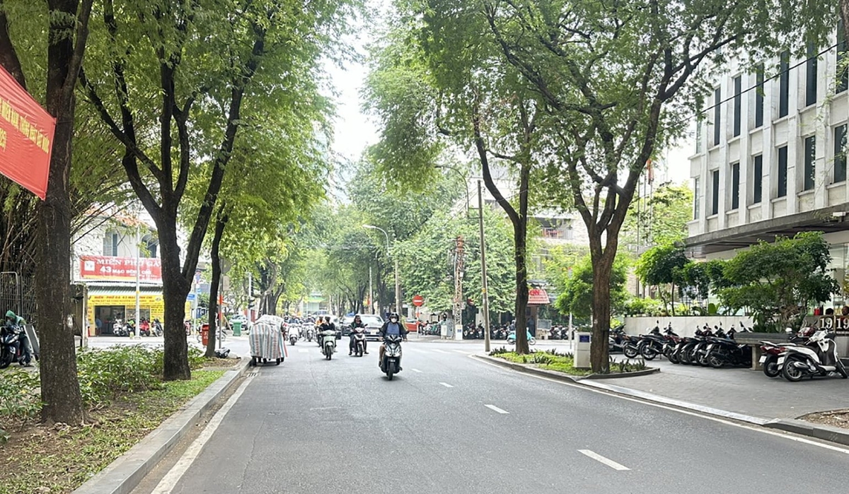 TP.HCM thực hiện công tác vệ sinh công cộng phục vụ Tết Bính Ngọ