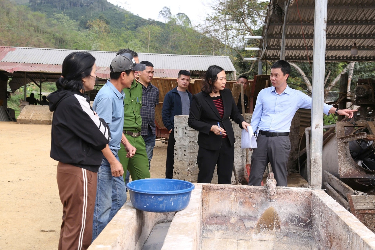 Kiểm tra, xử lý nghiêm tình trạng xả thải trái phép ra môi trường
