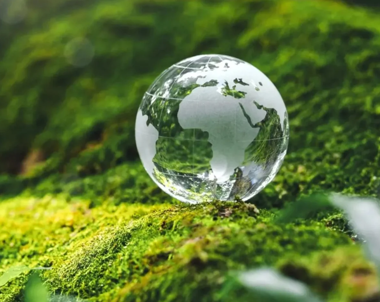 Khoảng 1.000 người sẽ tham dự lễ mít tinh hưởng ứng Ngày Môi trường Thế giới 2025