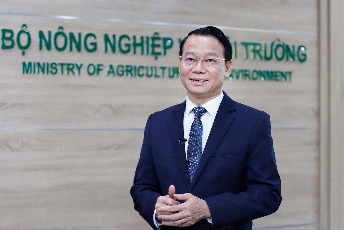 Những hành động nhỏ cho một tương lai lớn không rác thải nhựa