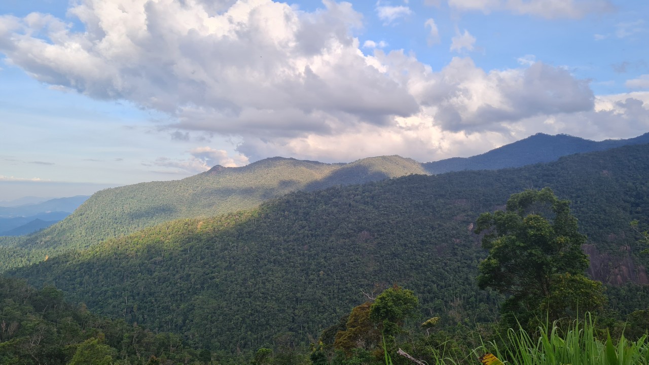 Chiến lược quốc gia về đa dạng sinh học đến năm 2030, tầm nhìn đến năm 2050