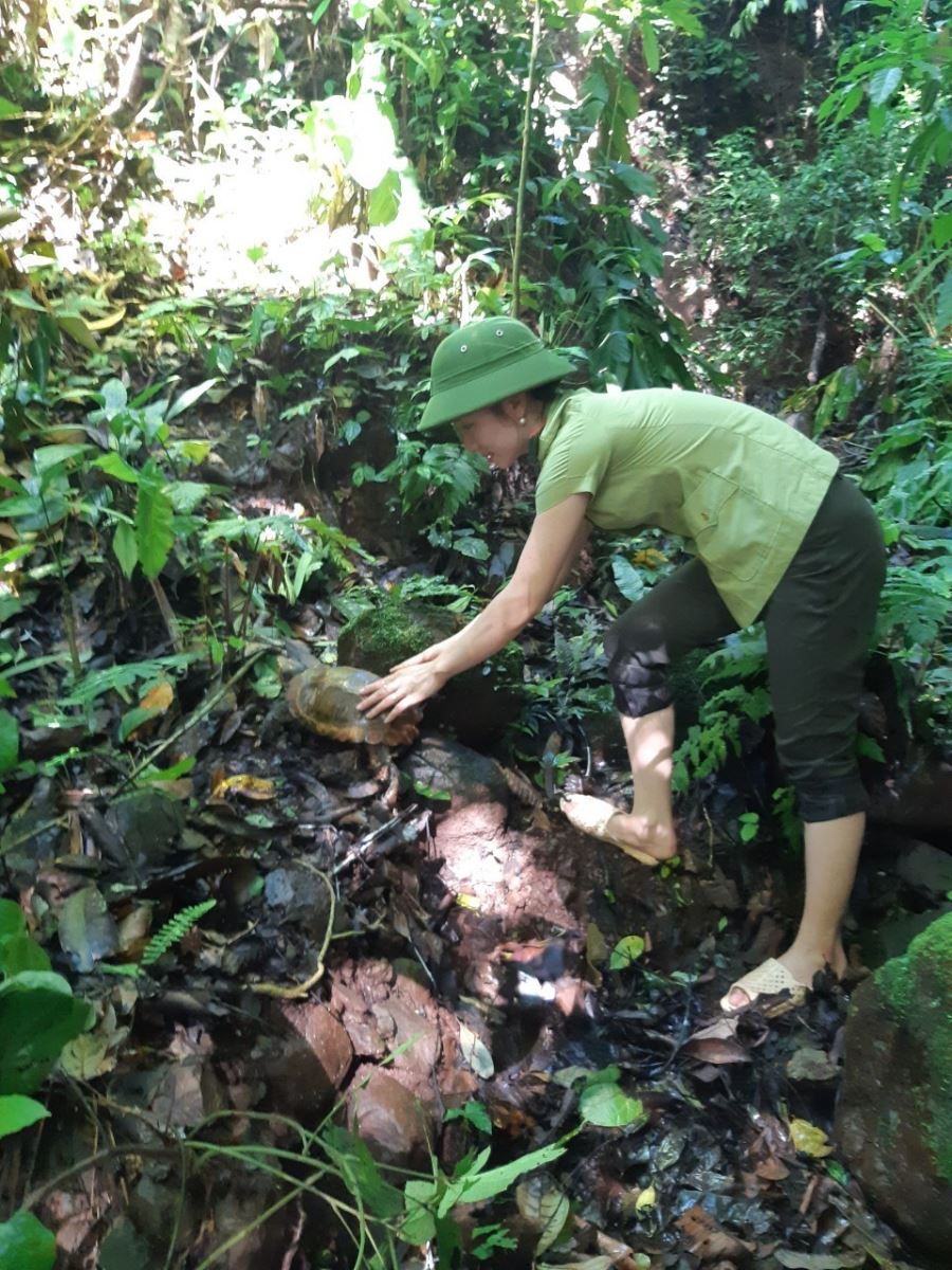 Điện Biên hưởng ứng ngày Quốc tế đa dạng sinh học năm 2023