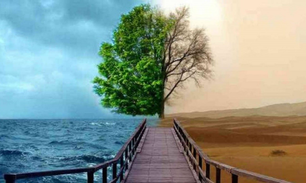 Tăng cường năng lực ứng phó sự cố môi trường cấp quốc gia