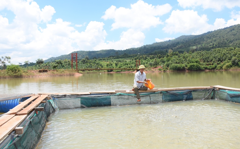 Gia Lai phòng ngừa ô nhiễm trong nuôi trồng thủy sản