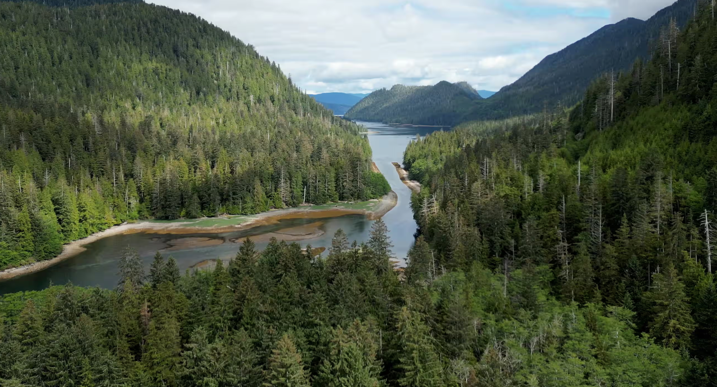 Thành công trong bảo tồn thiên nhiên ở quần đảo Haida Gwaii (Canada)