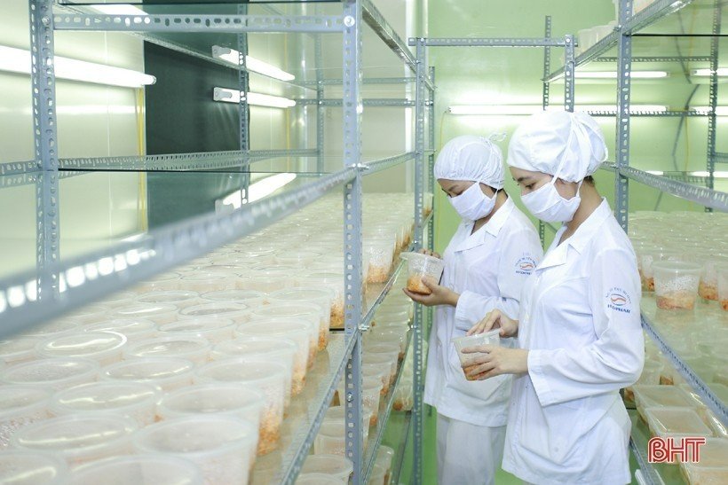 Hà Tĩnh chú trọng phát triển công nghiệp sinh học