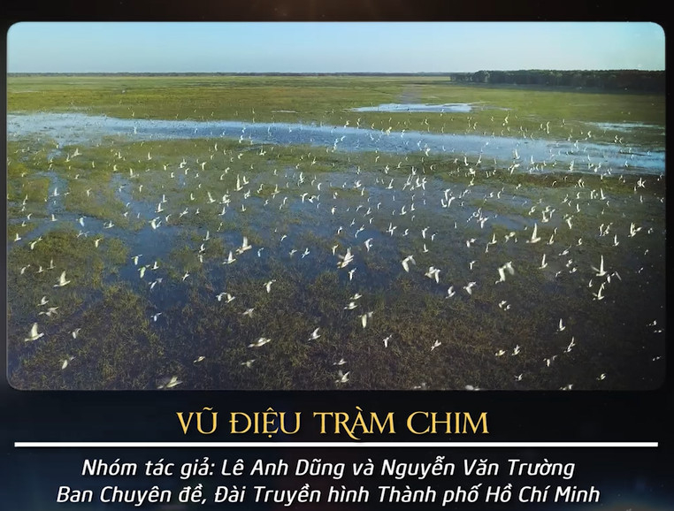 Tác động tới cộng đồng từ các tác phẩm phim chủ đề về đa dạng sinh học