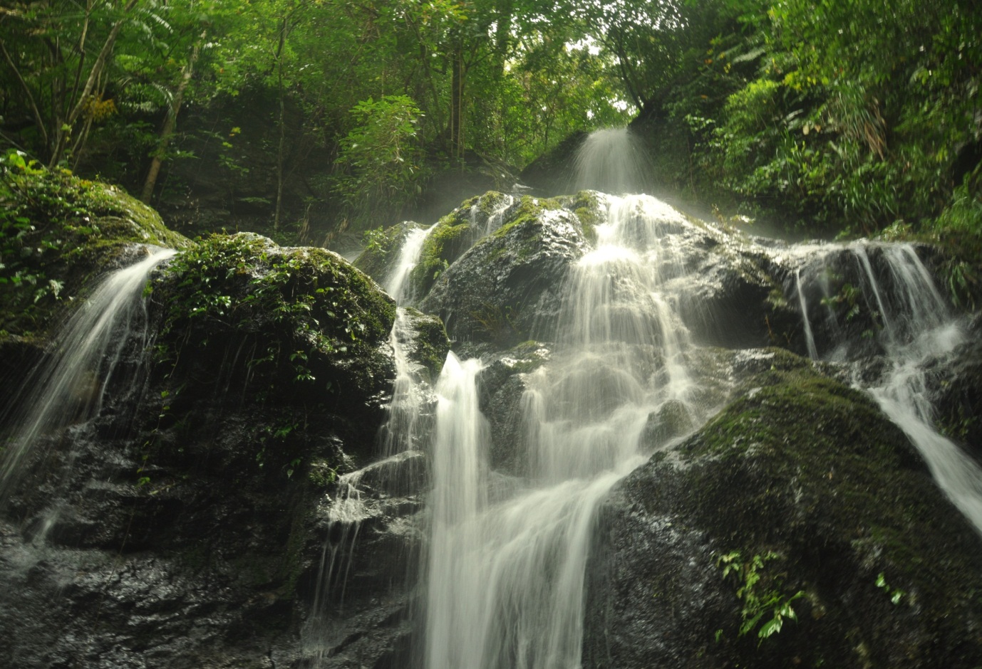 Núi Chúa Và Kon Hà Nừng Được Công Nhận Là Khu Dự Trữ Sinh Quyển Thế Giới 