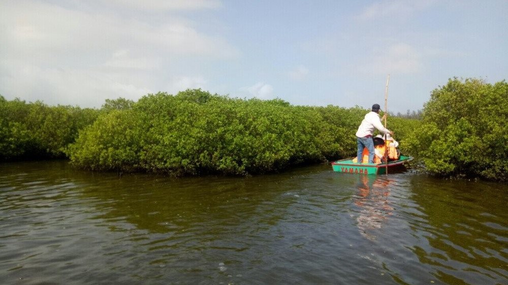 Quảng Ngãi: Bảo tồn và sử dụng bền vững các vùng đất ngập nước