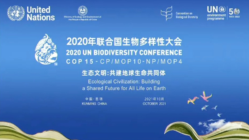 Thông tin về hội nghị lần thứ 15 các bên tham gia Công ước Đa dạng sinh học (CBD COP 15)