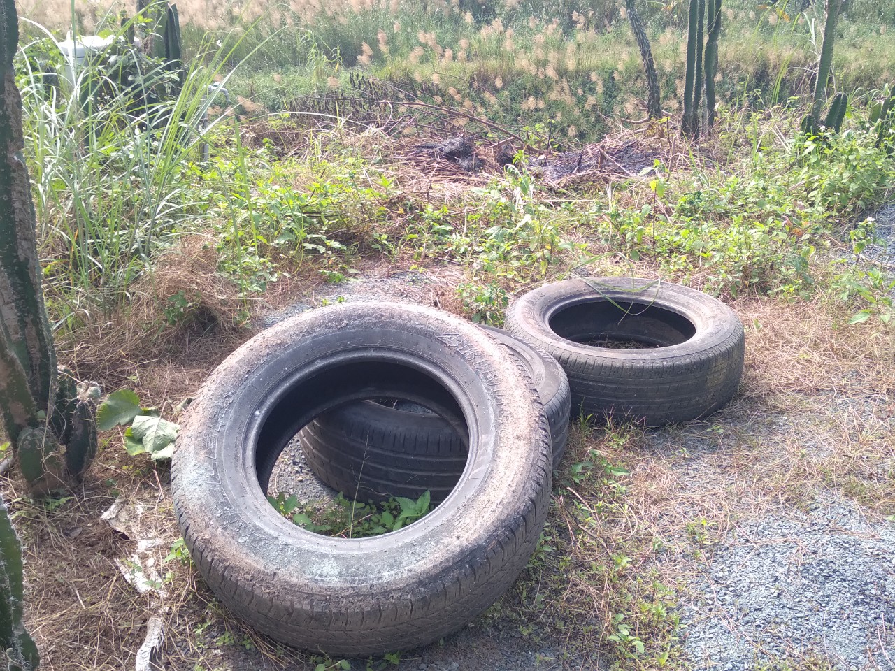 Trách nhiệm tái chế, xử lý sản phẩm, bao bì thải bỏ của tổ chức, cá nhân sản xuất, nhập khẩu trong Luật BVMT 2020