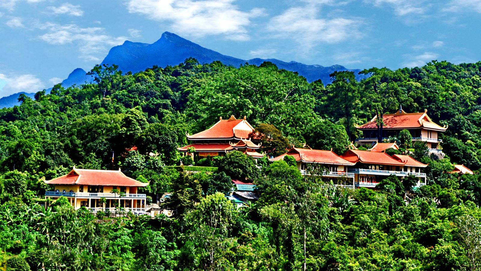 Bảo tàng “Rừng quốc gia Yên Tử” lưu giữ nhiều nguồn gen quý