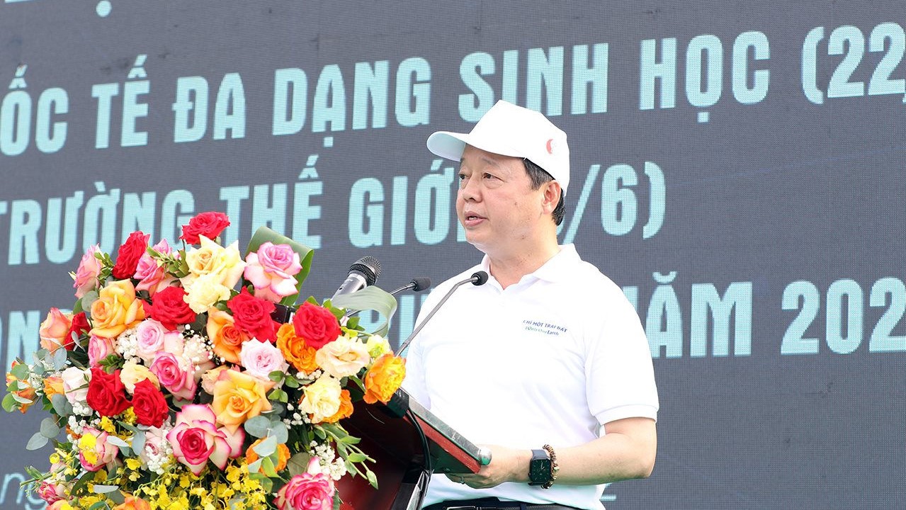 Xây nền móng cho tương lai của sự sống